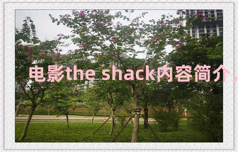 电影the shack内容简介，the shacks